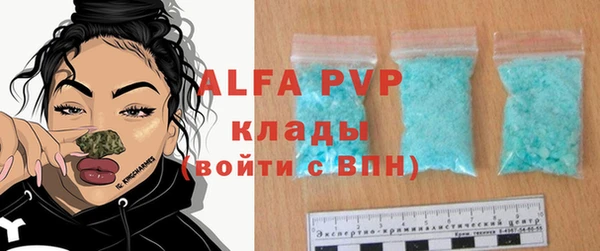 СК Касимов