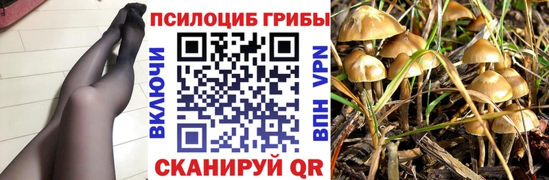 Галлюциногенные грибы мухоморы Иноземцево
